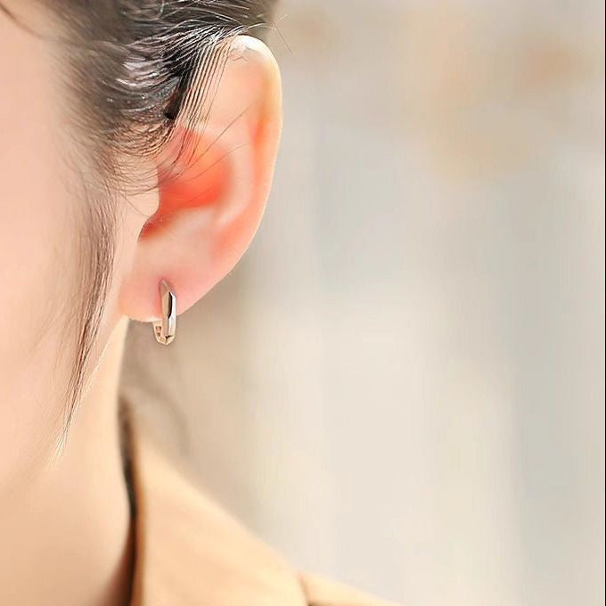 Round Hexagon Earrings